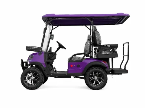 Golf cart configuration reference image 001; exact model to be confirmed / 高尔夫球车配置参考图片 001，准确型号待核实