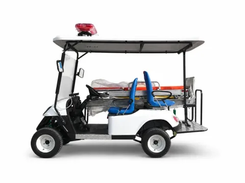 Golf cart configuration reference image 006; exact model to be confirmed / 高尔夫球车配置参考图片 006，准确型号待核实