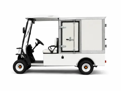 Golf cart configuration reference image 021; exact model to be confirmed / 高尔夫球车配置参考图片 021，准确型号待核实