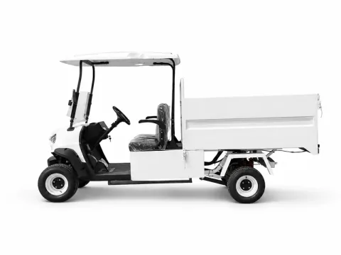 Golf cart configuration reference image 027; exact model to be confirmed / 高尔夫球车配置参考图片 027，准确型号待核实