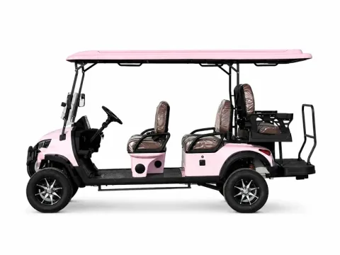 Golf cart configuration reference image 040; exact model to be confirmed / 高尔夫球车配置参考图片 040，准确型号待核实